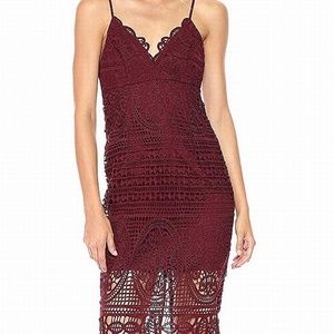 Bardot Versailles Lace Sheath Dress